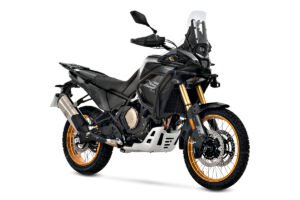 DS800 RALLY
