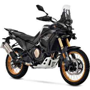 DS800 RALLY